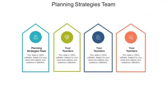 Planning strategies team ppt powerpoint presentation professional designs download cpb
