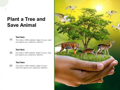 Plant a tree and save animal