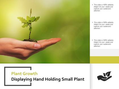Plant growth displaying hand holding small plant