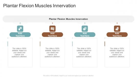 Plantar Flexion Muscles Innervation In Powerpoint And Google Slides Cpb