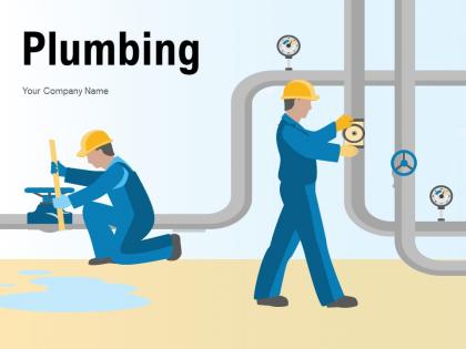 Plumbing Services Treatment Maintenance Infographic