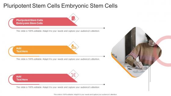 Pluripotent Stem Cells Embryonic Stem Cells In Powerpoint And Google Slides Cpb