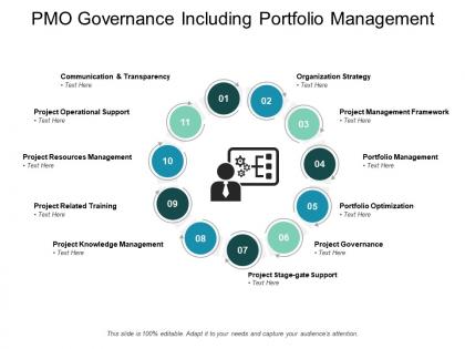 Pmo governance including portfolio management