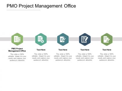Pmo project management office ppt powerpoint presentation file graphics download cpb