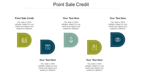 Point Sale Credit Ppt Powerpoint Presentation File Inspiration Cpb