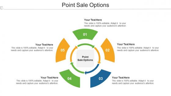 Point Sale Options Ppt Powerpoint Presentation Infographics Graphic Tips Cpb