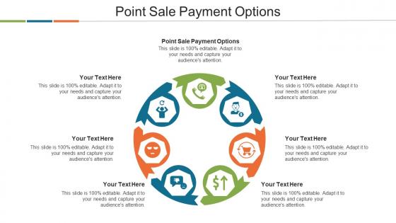 Point Sale Payment Options Ppt Powerpoint Presentation Styles Themes Cpb