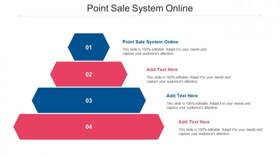 Point Sale System Online Ppt Powerpoint Presentation Show Icon Cpb