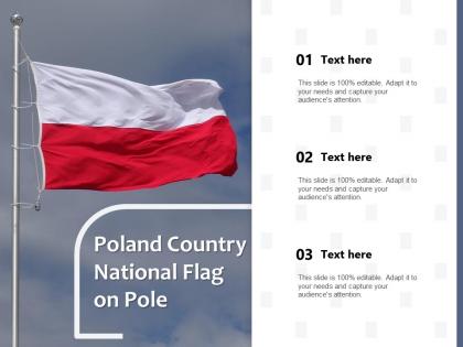 Poland country national flag on pole