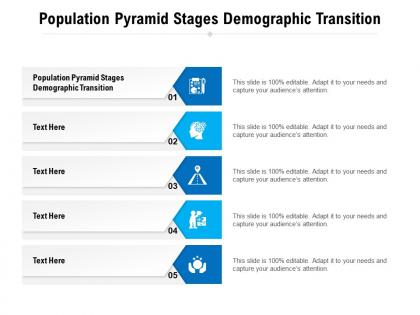 Population pyramid stages demographic transition ppt powerpoint presentation model icon cpb