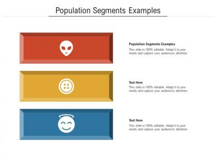 Population segments examples ppt powerpoint presentation icon summary cpb