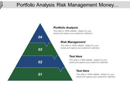 Portfolio analysis risk management money management program management cpb