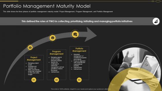 Portfolio Management Maturity Model Pmo Roles In Implementation Of Digitalization Strategy