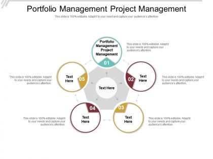 Portfolio management project management ppt powerpoint presentation gallery graphics cpb