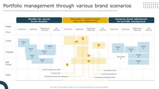 Portfolio Management Through Various Brand Scenarios Aligning Brand Portfolio Strategy With Business