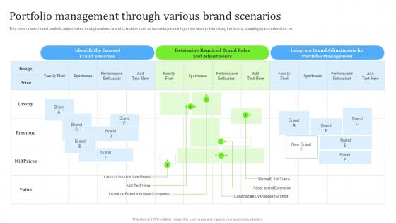 Portfolio Management Through Various Brand Scenarios Steps For Building Brand Portfolio