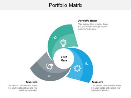 Portfolio matrix ppt powerpoint presentation icon slide download cpb