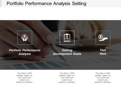 Portfolio performance analysis setting development goals corporate responsibility cpb