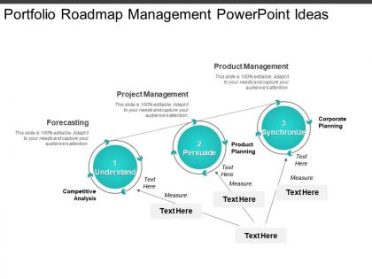 Portfolio roadmap management powerpoint ideas
