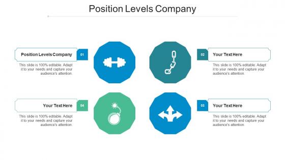 Position Levels Company Ppt Powerpoint Presentation Show Smartart Cpb