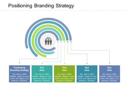 Positioning branding strategy ppt powerpoint presentation portfolio graphics cpb