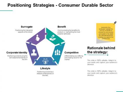 Positioning strategies consumer durable sector ppt professional elements