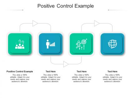 Positive control example ppt powerpoint presentation layouts portrait cpb