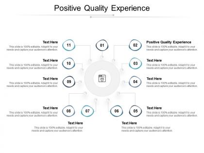 Positive quality experience ppt powerpoint presentation infographic template information cpb