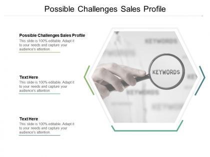 Possible challenges sales profile ppt powerpoint presentation show designs cpb