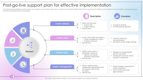 Post Go Live Support Plan For Effective Implementation