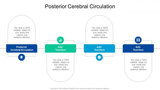 Posterior Cerebral Circulation In Powerpoint And Google Slides Cpb