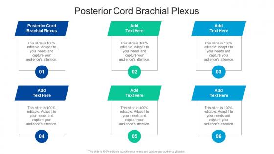 Posterior Cord Brachial Plexus In Powerpoint And Google Slides Cpb