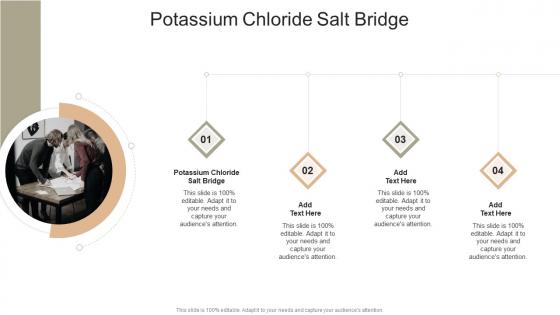 Potassium Chloride Salt Bridge In Powerpoint And Google Slides Cpb