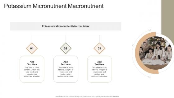 Potassium Micronutrient Macronutrient In Powerpoint And Google Slides Cpb