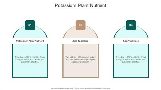 Potassium Plant Nutrient In Powerpoint And Google Slides Cpb
