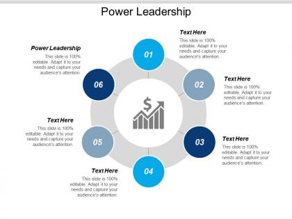 Power leadership ppt powerpoint presentation model professional cpb