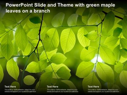 Powerpoint slide and theme with green maple leaves on a branch