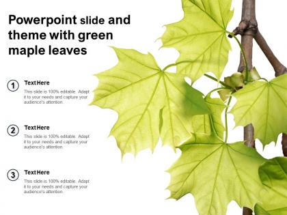 Powerpoint slide and theme with green maple leaves