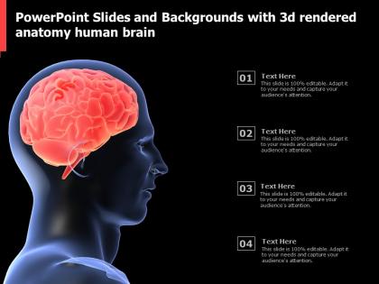 Powerpoint slides and backgrounds with 3d rendered anatomy human brain