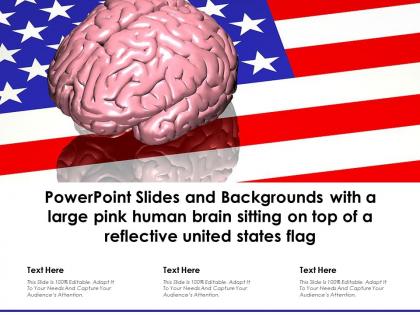 Powerpoint slides and backgrounds with a large pink human brain sitting on top of a reflective united states flag