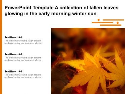 Powerpoint template a collection of fallen leaves glowing in the early morning winter sun