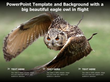 Powerpoint template and background with a big beautiful eagle owl in flight