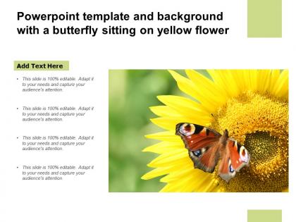 Powerpoint template and background with a butterfly sitting on yellow flower