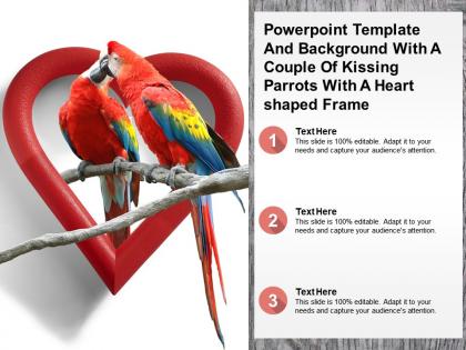 Powerpoint template and background with a couple of kissing parrots with a heart shaped frame