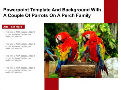 Powerpoint template and background with a couple of parrots on a perch family