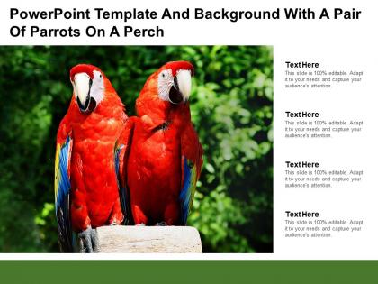 Powerpoint template and background with a pair of parrots on a perch
