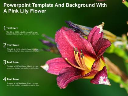Powerpoint template and background with a pink lily flower