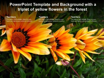 Powerpoint template and background with a triplet of yellow flowers in the forest
