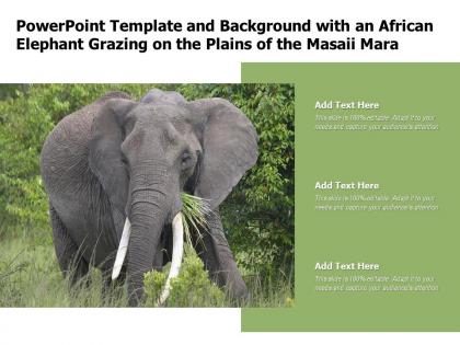 Powerpoint template and background with an african elephant grazing on the plains of the masaii mara