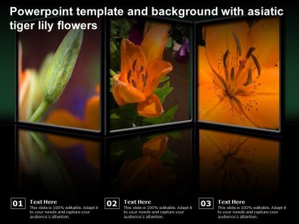 Powerpoint template and background with asiatic tiger lily flowers